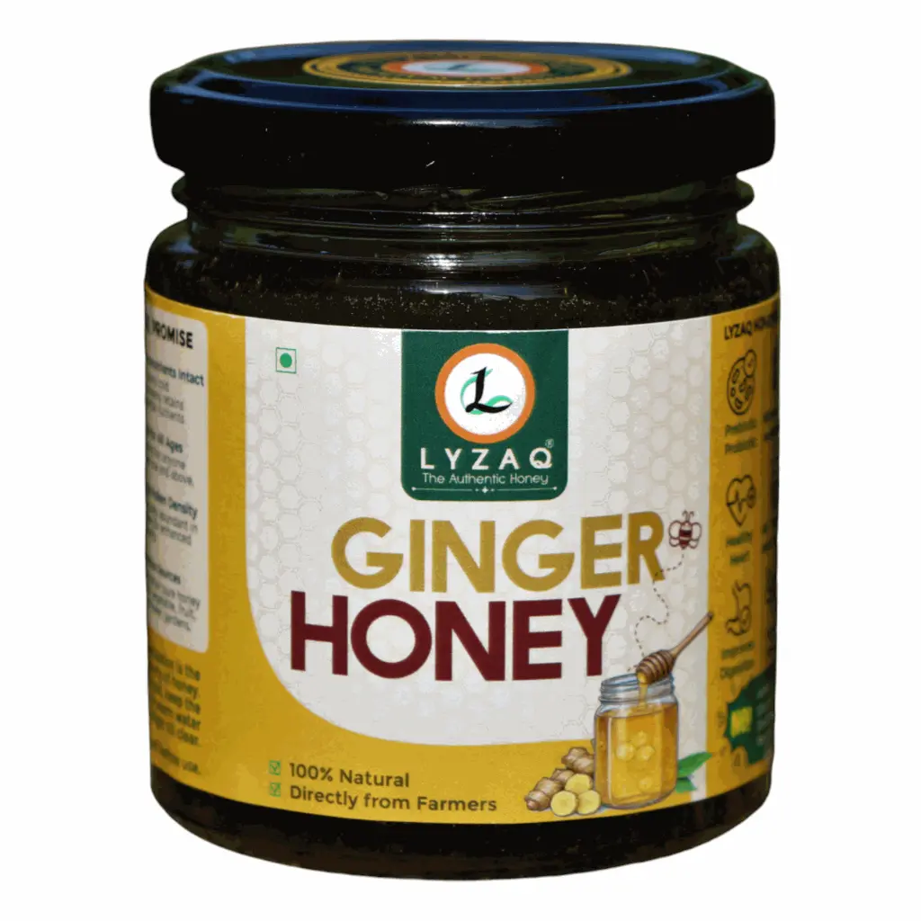 GINGER FRONT.webp